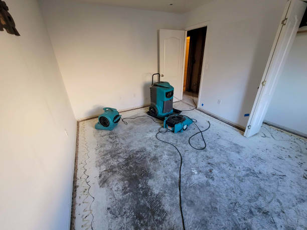 Best Mold removal after water damage  in Red Oak, IA