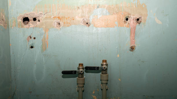 Best Water damage restoration company  in Red Oak, IA