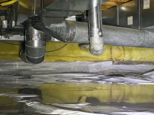 Best Flood damage cleanup  in Red Oak, IA