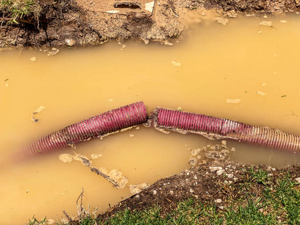 Best Water damage restoration specialists  in Red Oak, IA